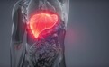 喝酒、熬夜吃护肝片有用吗？护肝片助力保肝护肝#吃什么护肝
