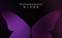 AS Dalio：镜照灵魂张力 华贵与性感无需和解