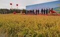喜迎丰收节，哈尔滨举办“龙江优选”新品种展示交流大会