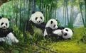 开创秦岭北麓绿G新时代