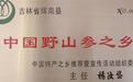 满眼生机争日新 ——通化地区林下人参种植发展观察