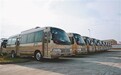 今年南昌将更新91台纯电动公交车 首批39辆国庆节前投入运营