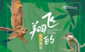 陕西自然博物馆鸟类公益展览正式开展 共赏自然之美