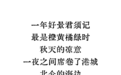 秋日的北仑，藏着一条秘境线路！看海、观鸟、拍美照……