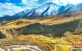 甘肃张掖 ：祁连山植被黄绿交织　远处山顶白雪皑皑
