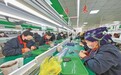甬凉连心 大山深处树东西部协作新标杆