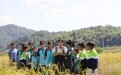 广昌县：“世界粮食日”稻田课堂学爱粮（图）