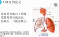 10岁男孩突发大咯血，“弹簧圈栓塞”一招止血！多学科协作，共护生命之光