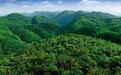 九江彭泽县首批林权延包不动产权证颁发