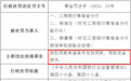 放松贷款审查条件发放贷款，工商银行青海省分行被罚款50万元