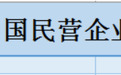 “2024中国民营企业500强”名单发布 江门这家企业入选