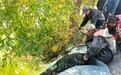 “渔”乐圈上新　东北“蟹宝宝”安家张掖临泽