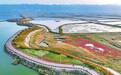 运城市盐湖区鸭子池湿地公园成为市民休闲娱乐的好去处