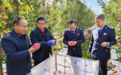 乘税惠东风走俏海外　庆阳苹果挑起乡村振兴“金扁担”