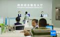 2025年1月1日起，海南将全面推行投资领域极简审批