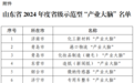 12个！山东2024年度省级示范型“产业大脑”名单公示