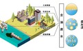 一张神奇的膜成功实现水和油分离