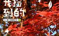 “捡秋”爆火，净月的秋天还能这样玩？