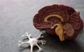血液早筛阿尔茨海默病惹争议：应该在无症状时做出诊断吗？