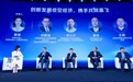 低空经济如何飞得更远？业内大咖共话：突破关键技术，满足大众多元化需求