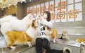产业多元化、精细化 “宠物经济”催生南昌消费新场景