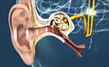 pdnaxi神经宝：哈佛科学家的创新成果，专注耳神经修复，助力全球数亿耳鸣患者！