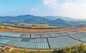 金溪：智慧大棚（图）