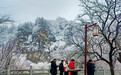 今冬初雪！平凉崆峒山“白了头”