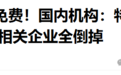 某高管：特斯拉打专利，中国车企全部倒掉