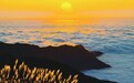 安福县武功山景区：日出云海美如画（图）