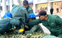 开启保暖模式！平凉崆峒绿植穿上“定制冬装”