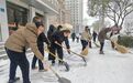 党员干部带头挥锹　张掖浴“雪”奋战护航群众出行