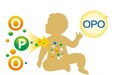 OPO在奶粉中的作用与功效有哪些？科普上线让选奶更简单！