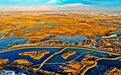 张掖国家湿地公园披“冬装”　童话世界一眼“金”艳
