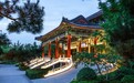金梧桐丨缦合宴