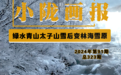 太子山迎来降雪　绿水青山变“林海雪原”