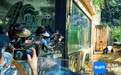 “海口真好玩”短视频创作大赛正式启动 欢迎大家用镜头分享海口