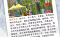 嗨游青岛·悦享冬季 | 民俗雅趣之旅