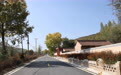危旧房屋变身小花园　平凉崆峒和美乡村“净”行时