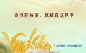 县在说丨数不清的title！安徽泾县的秘密藏在哪里？
