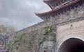 老人在城墙上撒钱引大量游客抢夺？当地回应