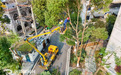 铜陵市铜官区：修剪树木 服务居民