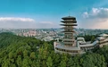 杭州临平：以落实之效奋进高质量发展之路