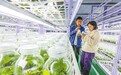 庐山市：“科技+”推动乡村振兴（图）