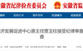 安徽多地纪委监委通报：5人被查！