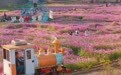 元旦来白坭！奔赴山海迎新岁！感受三水环两江一号公路趣玩狂欢