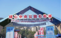 千人畅跑！跃入雨花绿心“520”画境