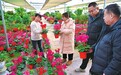晋中左权：花卉市场迎销售高峰