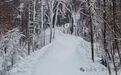 长春1677米森林穿越雪飘流即将开滑