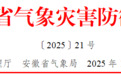 寒潮蓝色预警、气象灾害防御提示！安徽即将迎来大雪、暴雪